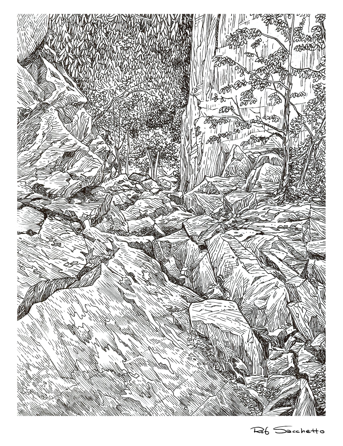 Hiking Trail