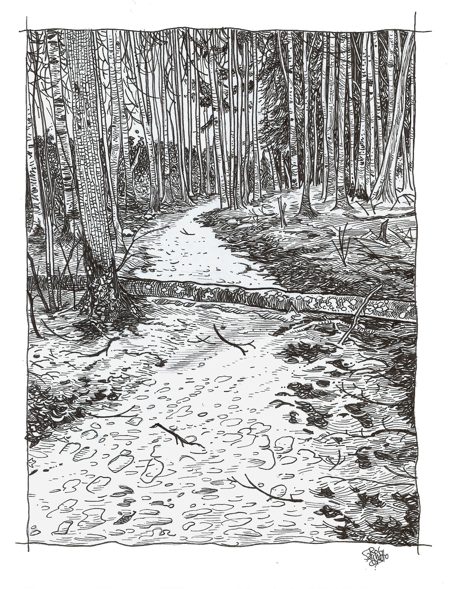 A Christmas Walk