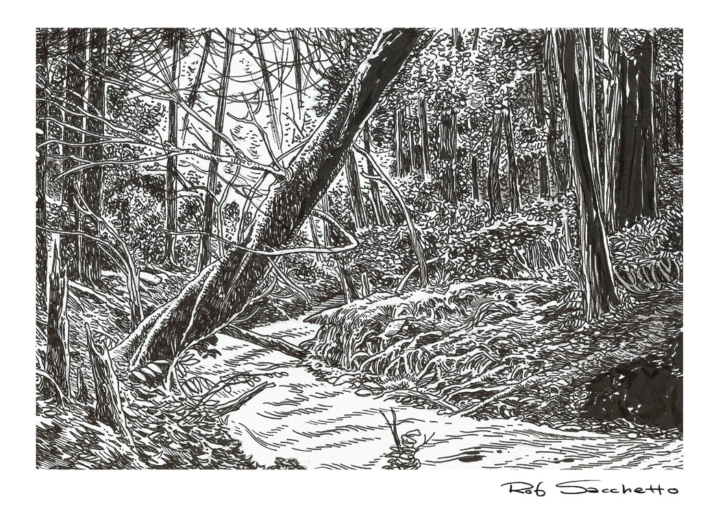 Dark Brook