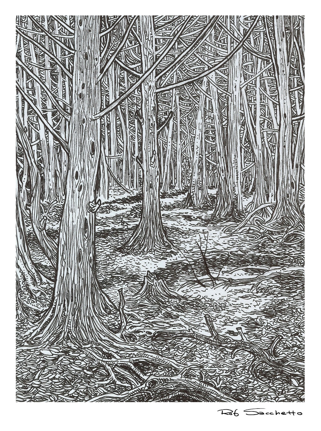 Forest Deep