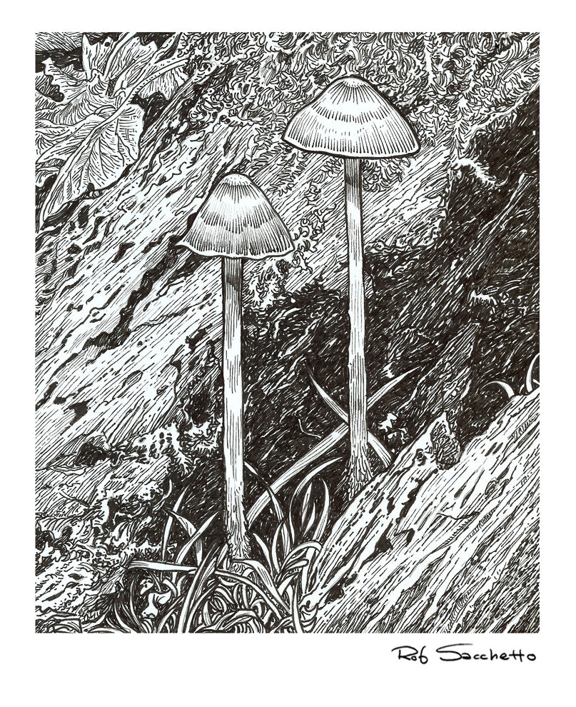 Found Mushies