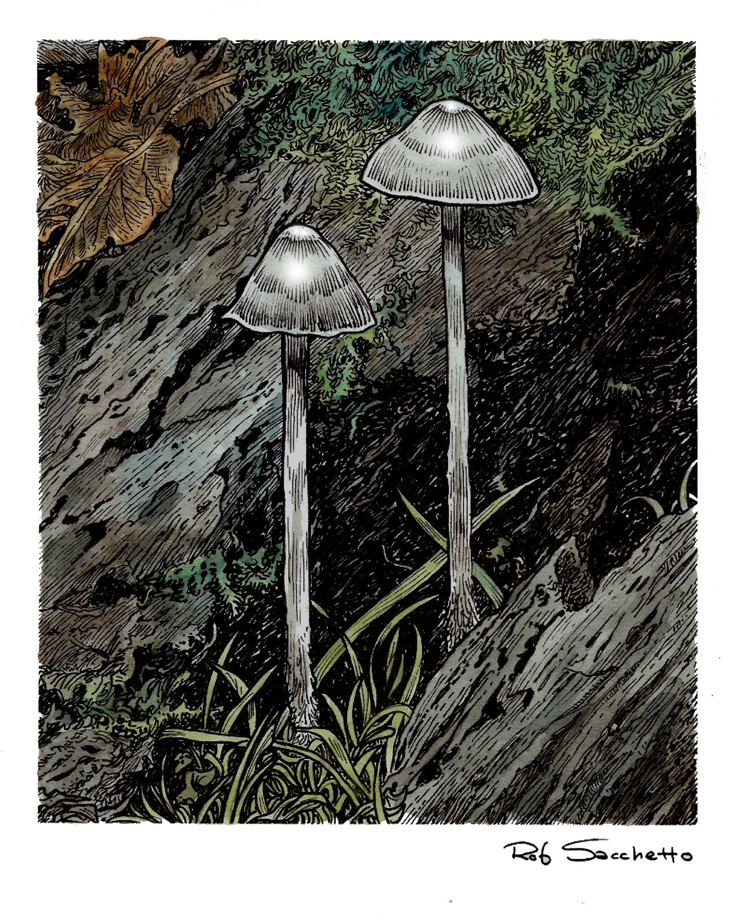Luminous Shroominous