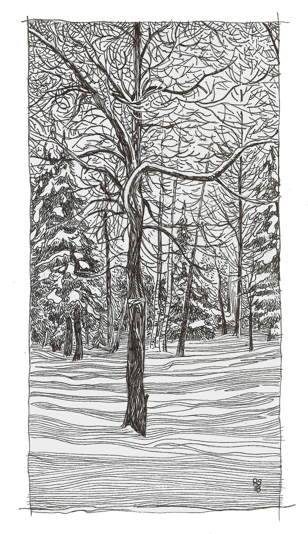 Shadows of Winter