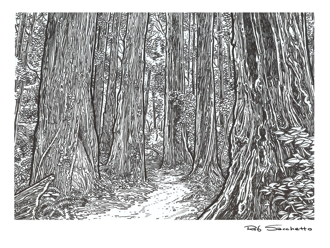 Redwood Passage