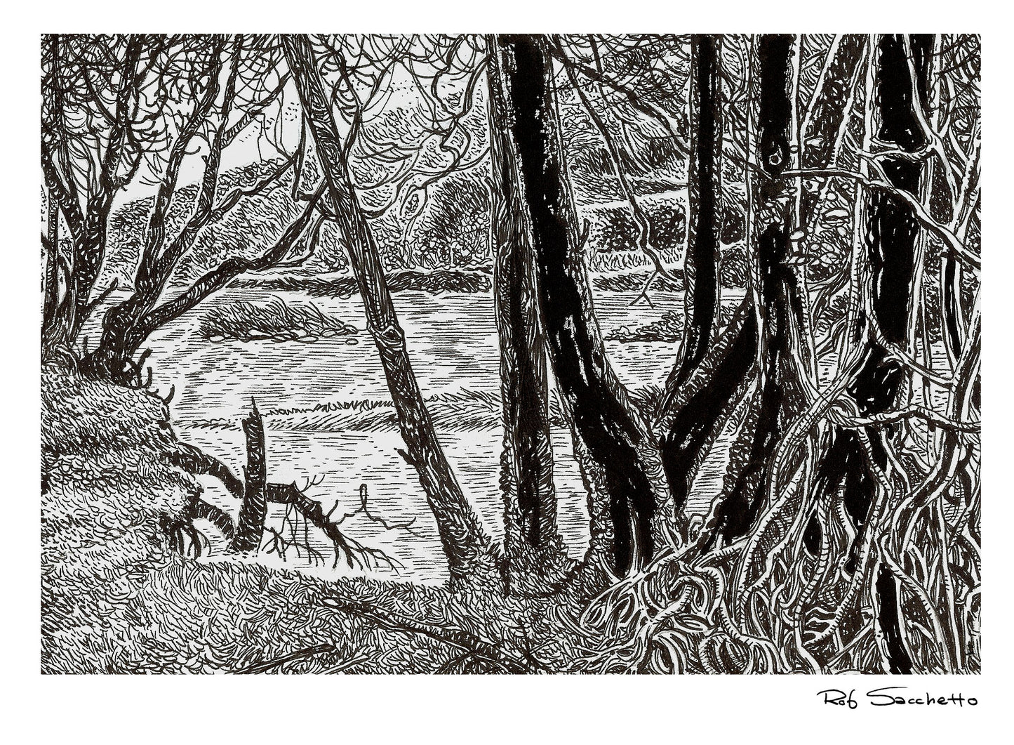 The Water Through the Trees
