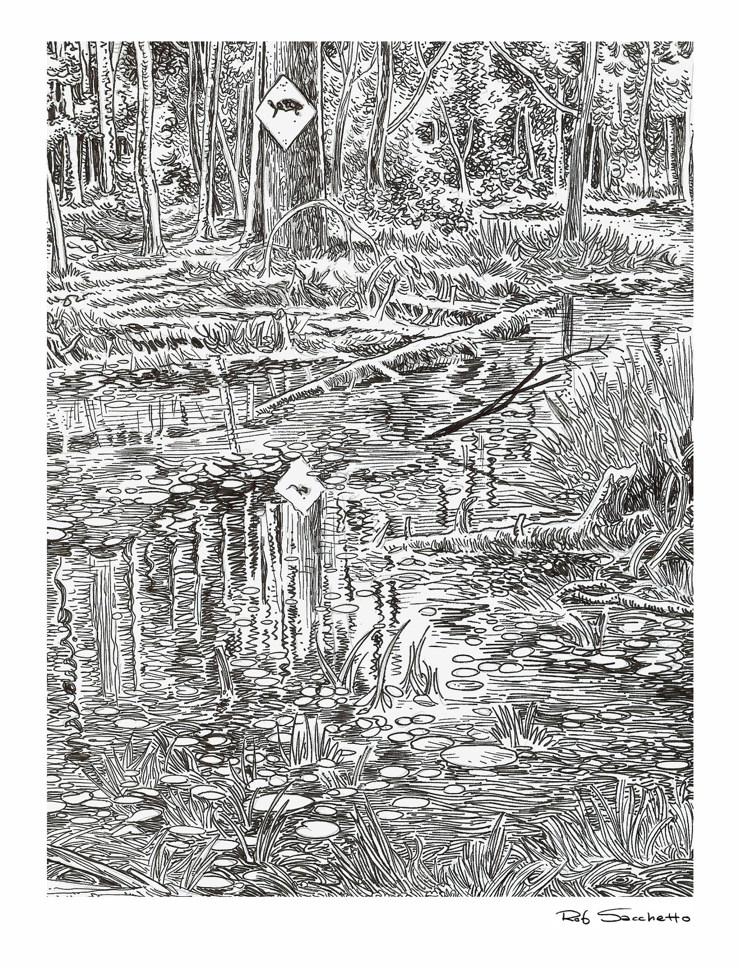 Turtle Pond