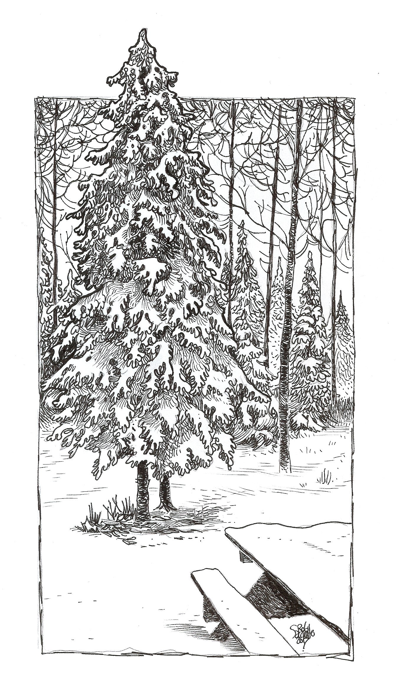 Wintry Tree