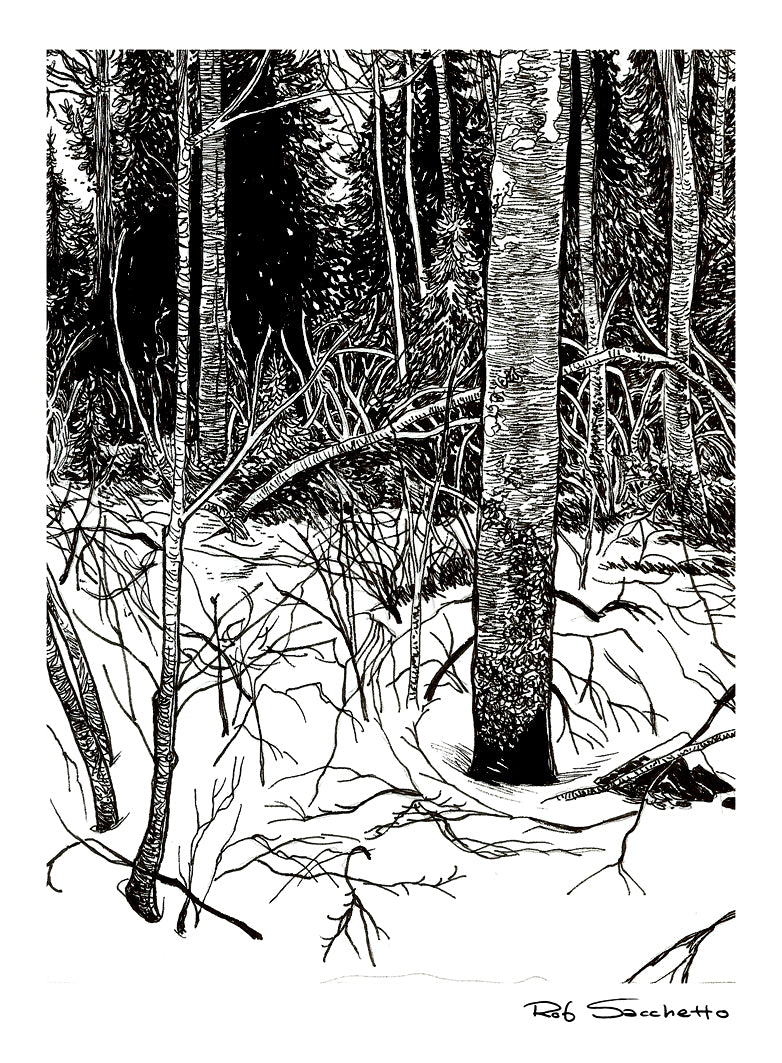 Winter Trees #2