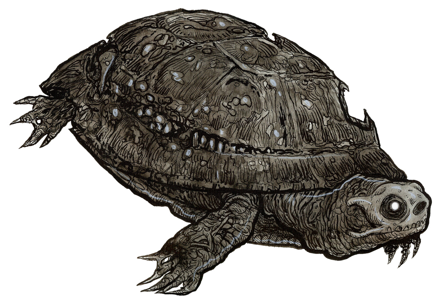 Zombie Zoo : Blandings Turtle