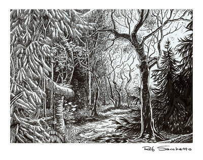 Goth Forest At Dawn