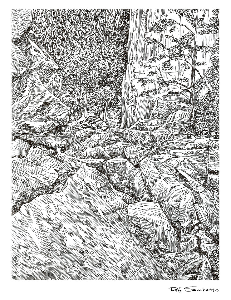 Hiking Trail