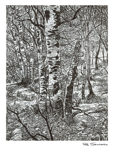 Birch Trail
