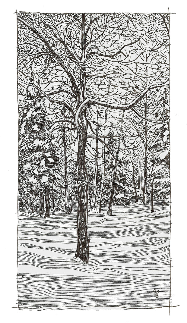 Shadows of Winter
