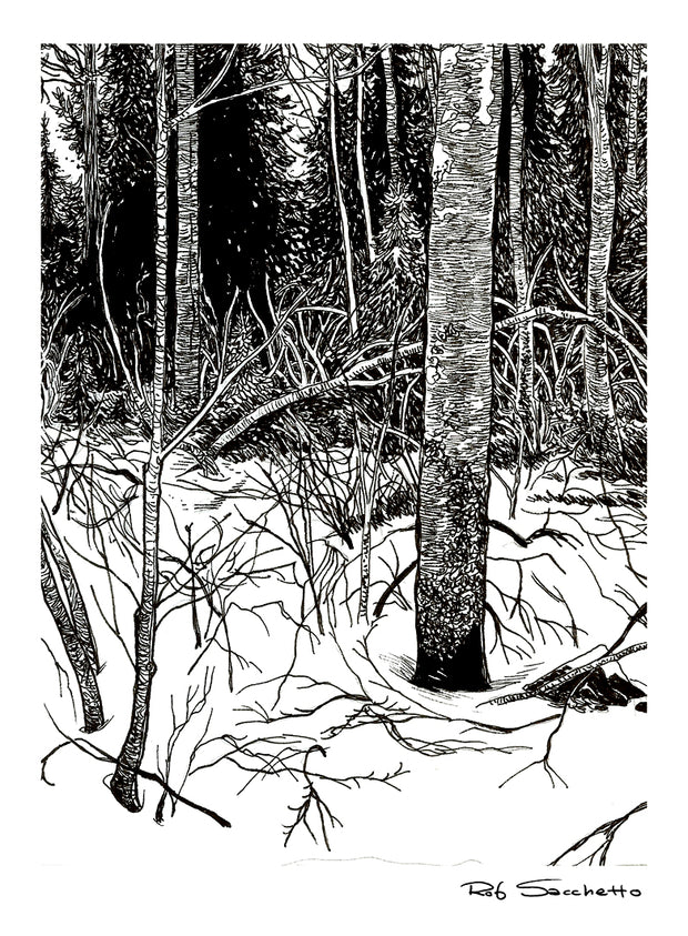 Winter Trees #2
